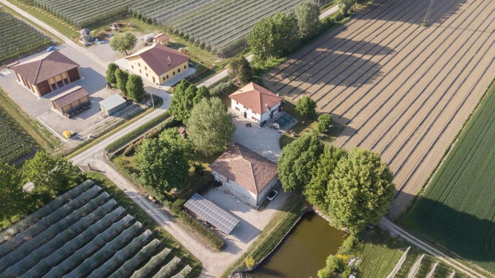 Agriturismo Il Bio Nonno Villa Cento  Eksteriør bilde